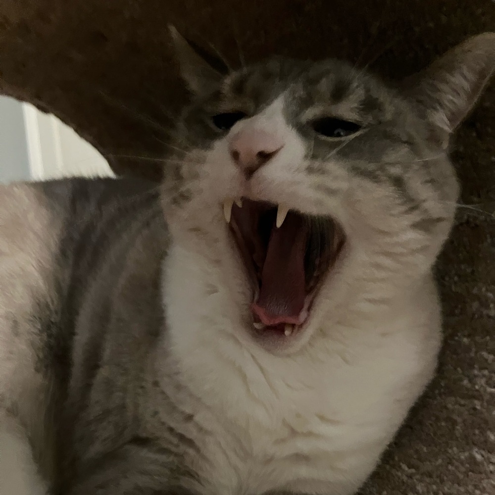 Hello there!